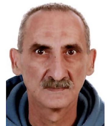 Milorad Polovina