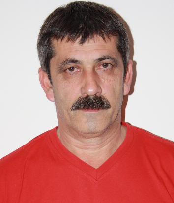 Mesud Mehmedagić