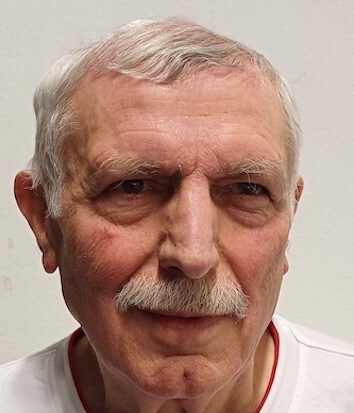 Milan Babić