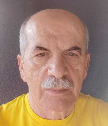 Žarko Mladin
