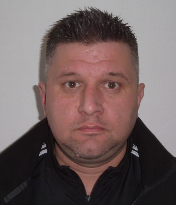 Tomislav Anić