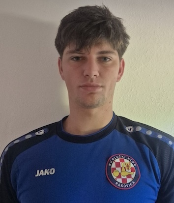 Luka Bićanić