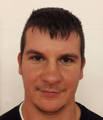 Damir Poslek
