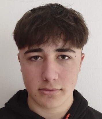 Frane Budić