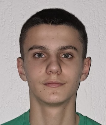 Karlo Kolarić