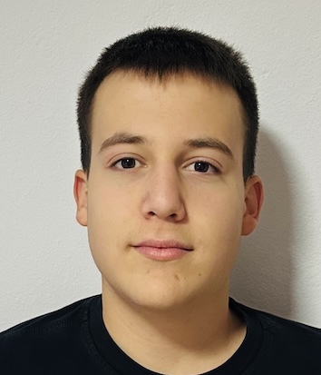 Niko Lulić