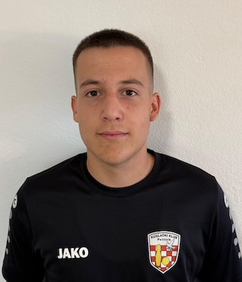 Niko Lulić