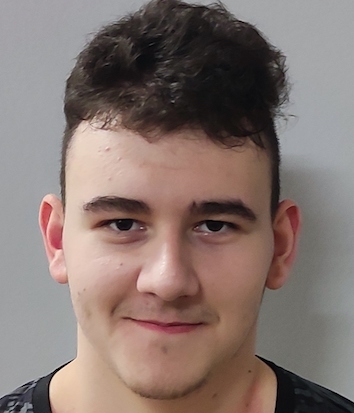 Karlo Šarlija