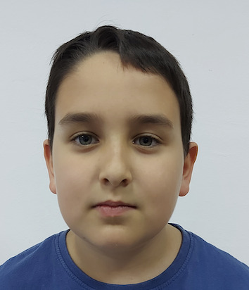 Niko Petrović
