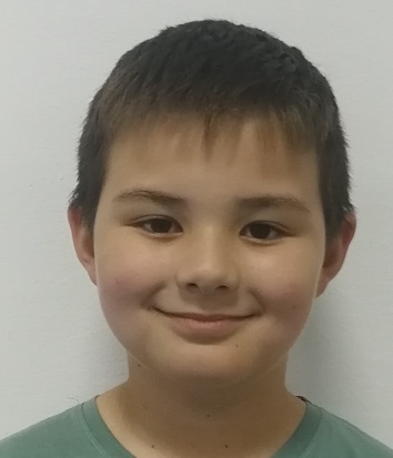 Domagoj Jež