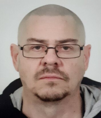 Damir  Perši