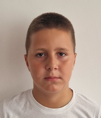 David Šančić