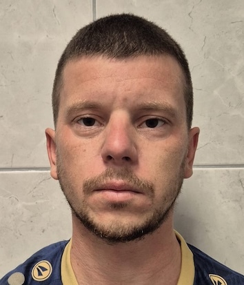Luka Zujić