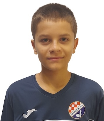 Višeslav Botica