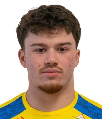 Borna Pungartnik
