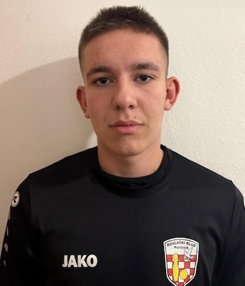 Niko Vedrić